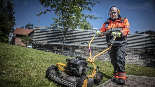 Kuluneesta nurmikosta kutsuvaksi keitaaksi