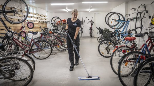 Kevätsiivouksen mestarit